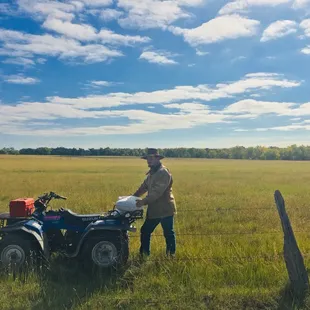 Setting up grazing paddocks in late summer