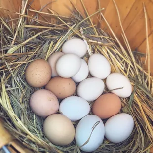 A batch of fresh pastured eggs