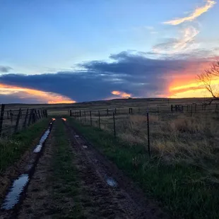 Just the start of spring!