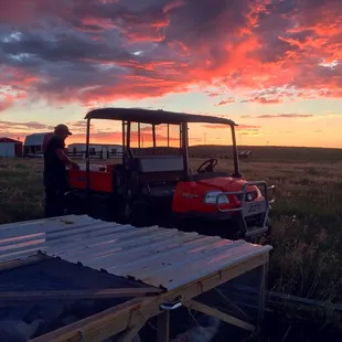 Moving broiler chickens on to new grass each morning