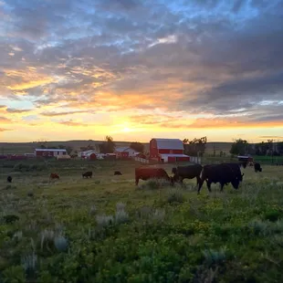 A stellar evening at Rafter W Ranch