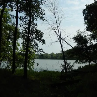 One of the views from the trails. (Best part of the whole experience)