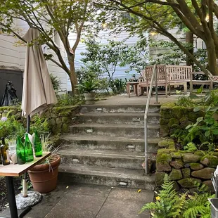 Patio Area