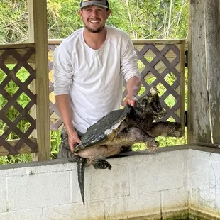 Ragin Cajun Airboat experience - alligator snapping turtle.