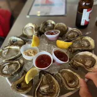 Gulf Coast Oysters