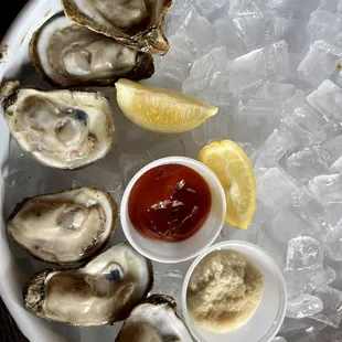 Gulf Coast Oysters