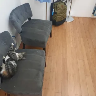 Dressing room cattendant