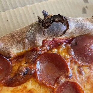 The bottom looked like that too