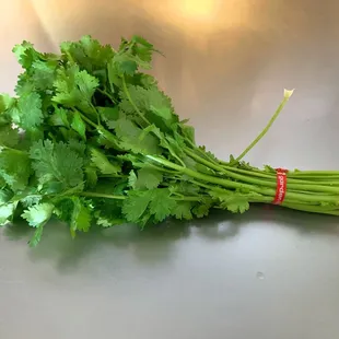 Chinese parsley