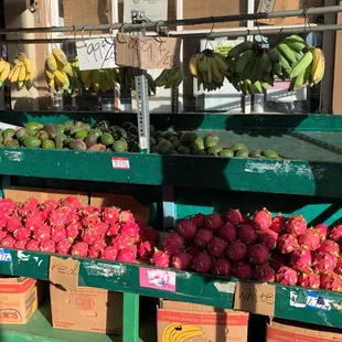 Current Outside Fruit Display