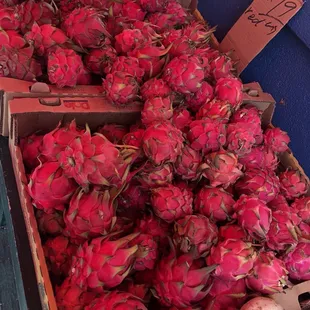 a display of dragon fruit