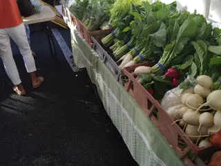 Otsuji Farms
