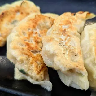 Gyoza