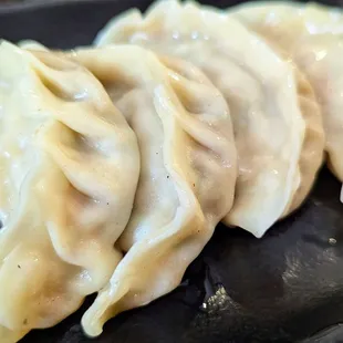 Gyoza