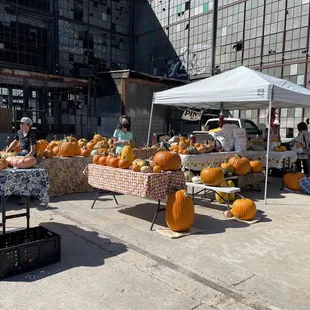 Pumpkins season
