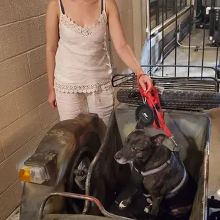 Dog friendly patio