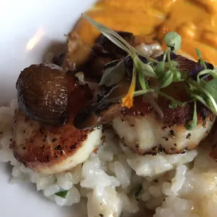 Seared Bedford Sea Scallops