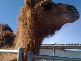 The Animal Education Center