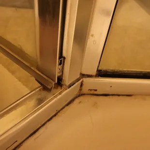 MOLD in shower, no tub, no shelf or seat in shower.