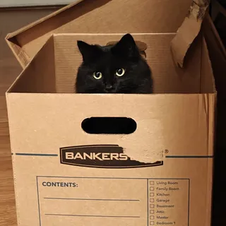 Hai N.