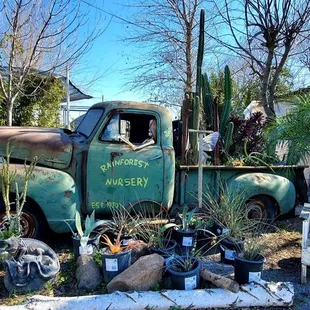 an old truck with plants in the bed