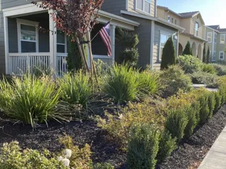 Turf-N-Tree
