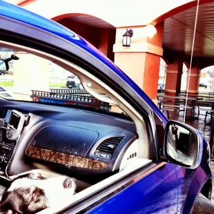 Pearl jam looks stoned- must be a contact buzz