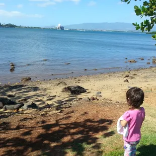 Checkin out the view