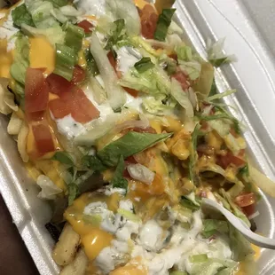" Gyro Cheese Fries w/ Lettuce, Tomatoes, Onions, and Gyro sauce"
