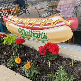 They serve Nathan's brand hotdogs