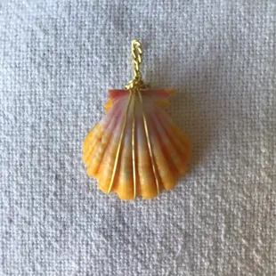 Authentic sunshine shells wrapped ready to wear on a necklace... Rainbow Bridge Gift Shop, ask for Shane Kupono