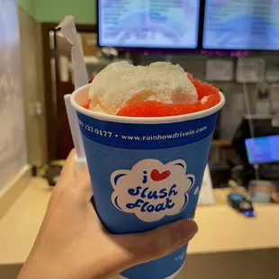 Small Slushie Float