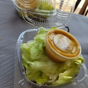 Extra salad offered with big platters. Good for 1 person.