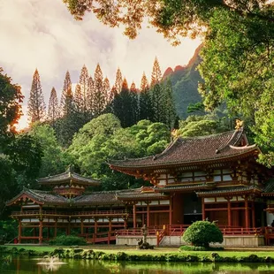 Byodo-In Temple. Developed and scanned by Rainbow Photo Video. IG: @_film.student_35