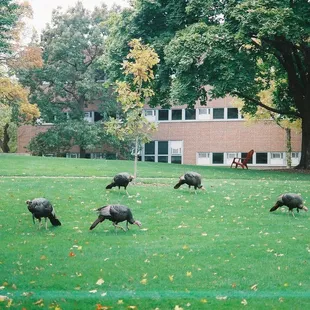 Questionable quality. There is a white streak across the bottom of the photo. (Taken on Minolta Maxxum 7000 with Kodak Ultramax 400.)