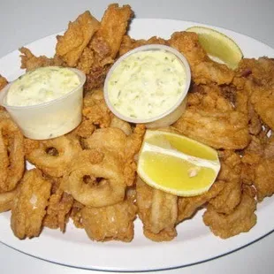 Fried Calamari