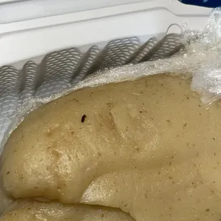 A Bug