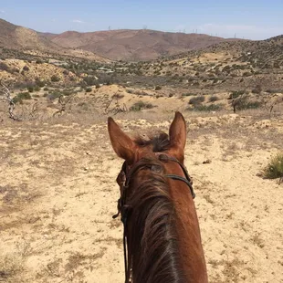 Beautiful trail ride, sweet horse