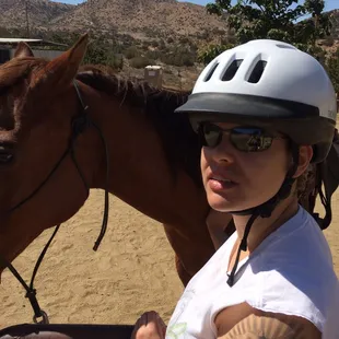 I loved all the wonderful horses