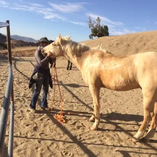 Kathy and her palomino