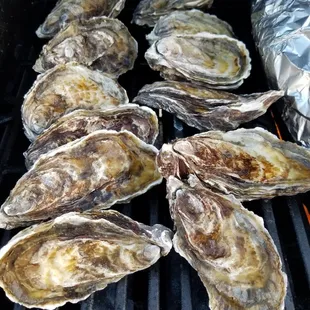 Got the last case of oysters. Sixty pieces for $60. Fed a fam of 5 with some left over. Fresh, y'all.