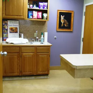 Exam room primarily for cats.