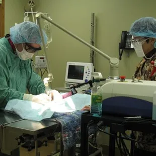 Rainbow Valley uses a cutting laser. This is a less painful alternative for your pet. We use this on all declaw surgeries.