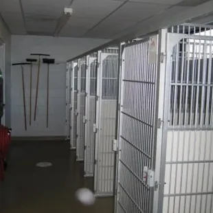 Rainbow Valley offers boarding for current clients.