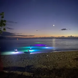 returning to shore