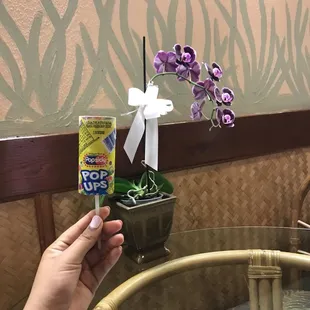 Haven't had these since I was a kid!