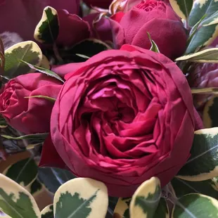 Beautiful arrangements from Rainforest Flowers.