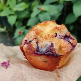 Blueberry muffin... Very moist and high quality