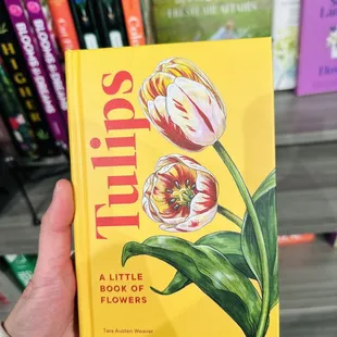 Having just went to the last weekend of the Tulip Festival at Fun Farm in Kearny, MO, I thought this book was so spring/so perfect