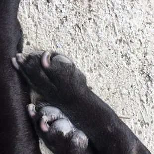 Freshly trimmed nails!